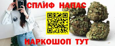 прущие крисы Ставрополь